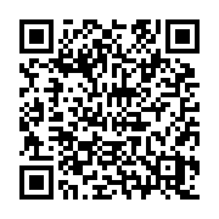 QR code for 393ZFX
