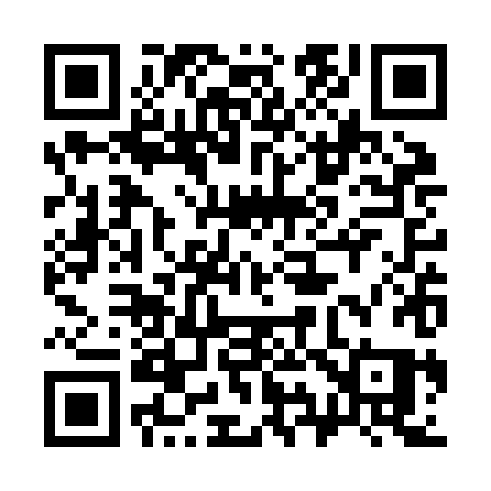 QR code for 393ZHQ