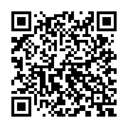 QR code for 395FJJ
