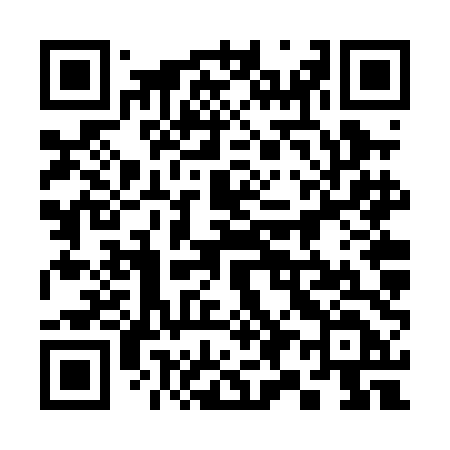 QR code for 396PDD