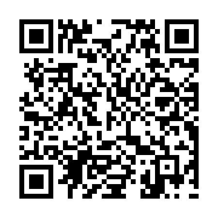 QR code for 397HIF