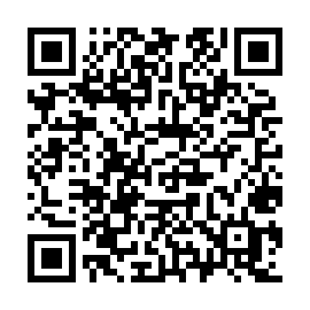 QR code for 397HMD