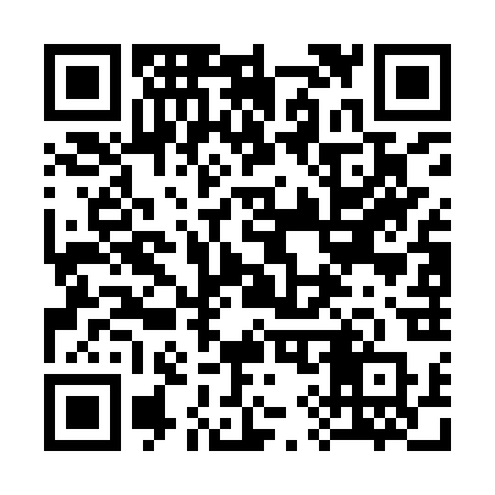 QR code for 397IRP