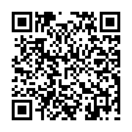 QR code for 397IRZ