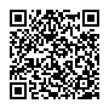 QR code for 397JIR
