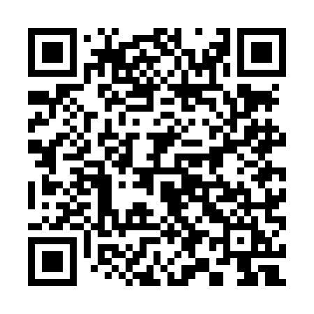 QR code for 397LMI