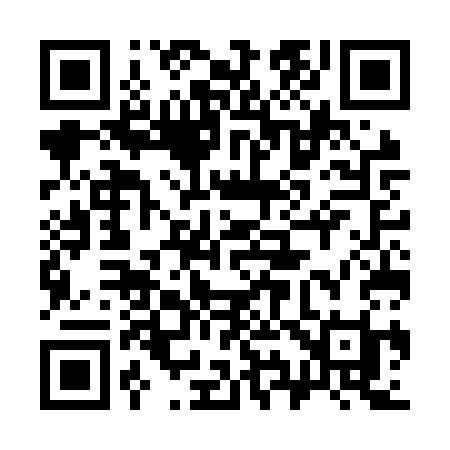 QR code for 397NSI