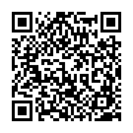 QR code for 397SVN