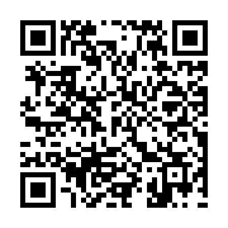 QR code for 397YXS