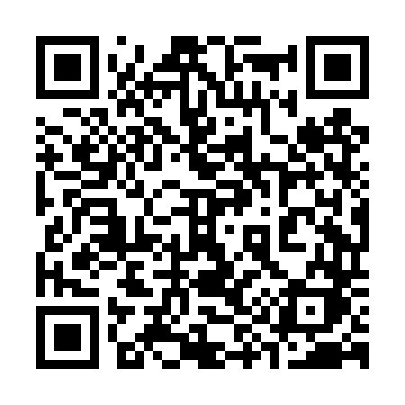QR code for 398DTK