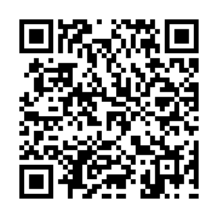 QR code for 399SGZ