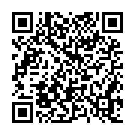 QR code for 411ION