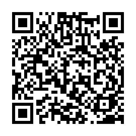 QR code for 411LUA