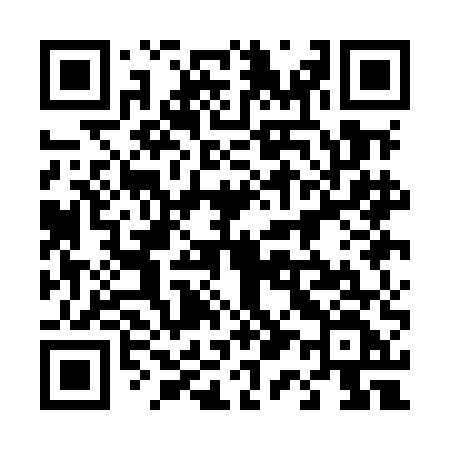 QR code for 411MEF