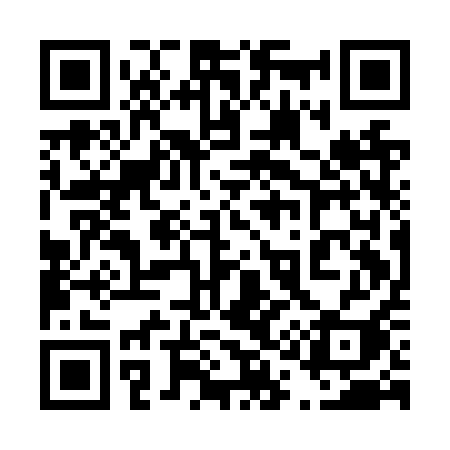 QR code for 411NQI