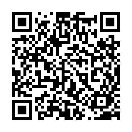 QR code for 411SIO