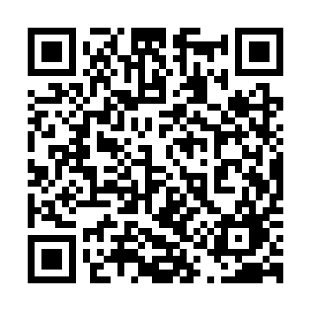 QR code for 411SQG