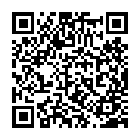 QR code for 411TOW