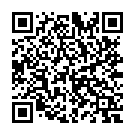 QR code for 411XVP