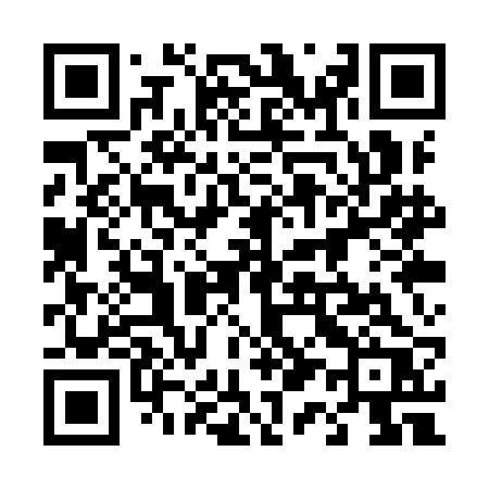QR code for 411YBR