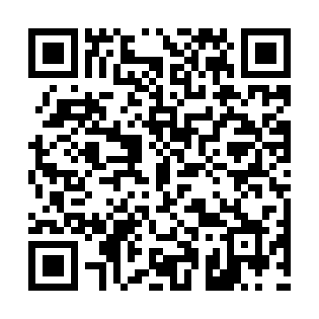 QR code for 411YSX