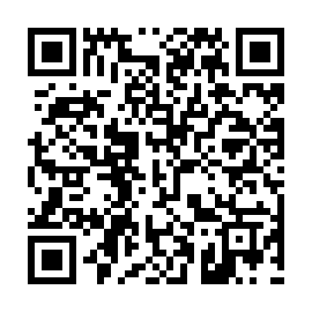 QR code for 411ZIW