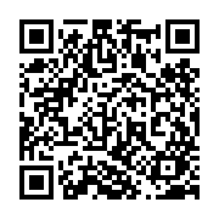 QR code for 419DMO
