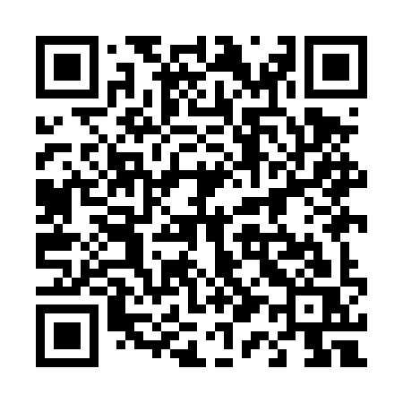 QR code for 419DYS