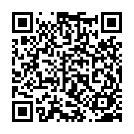 QR code for 419LUM