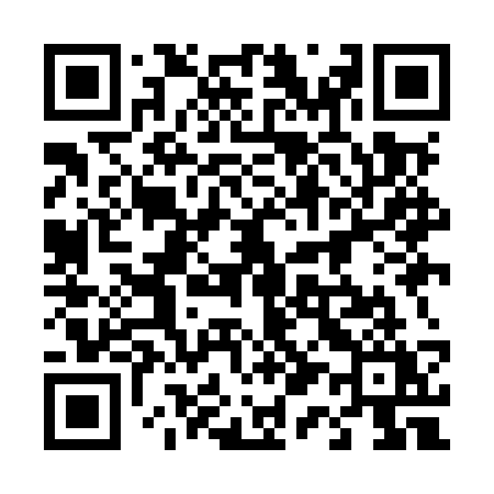 QR code for 419MSY