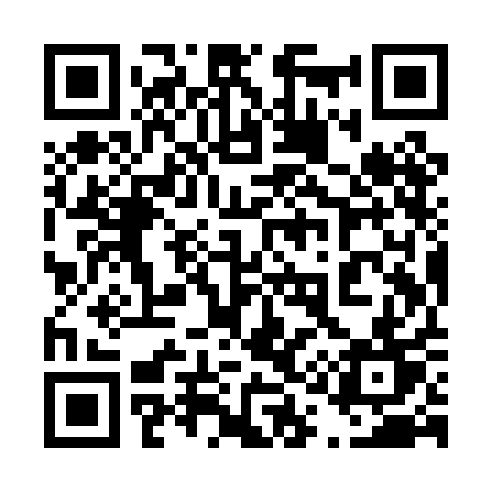 QR code for 419PAT