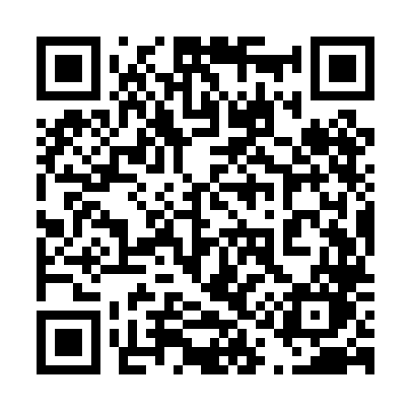 QR code for 419PLO