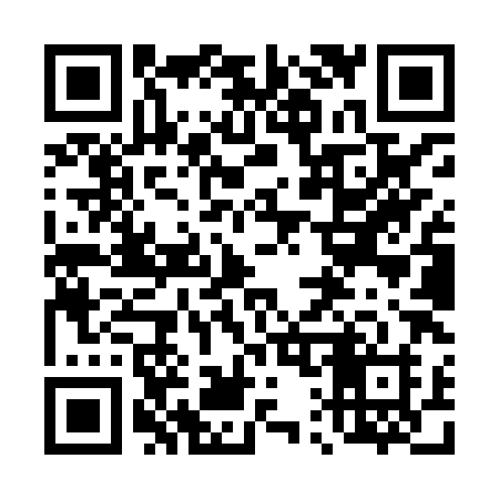 QR code for 419XXH