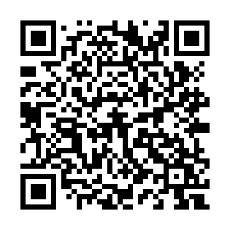 QR code for 419ZHW