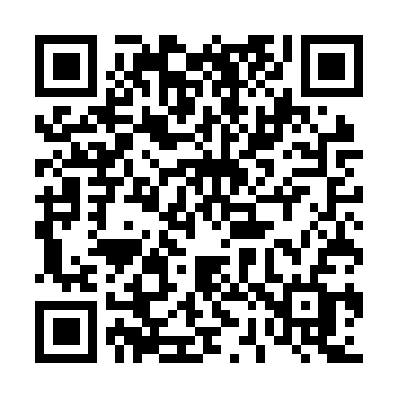 QR code for 425NSF