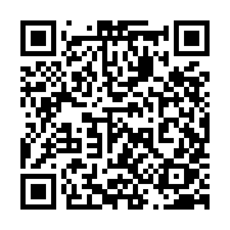 QR code for 438MHX