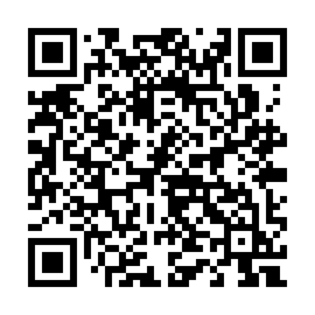 QR code for 441SIJ