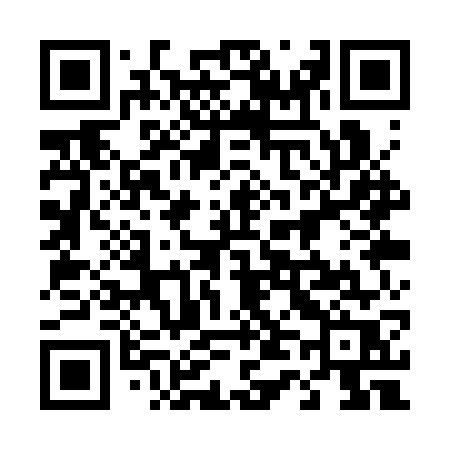 QR code for 441SWR