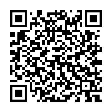 QR code for 441UMS