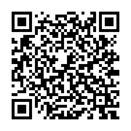 QR code for 441ZOZ