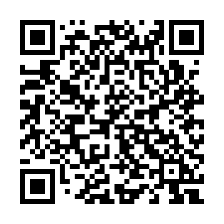 QR code for 447API