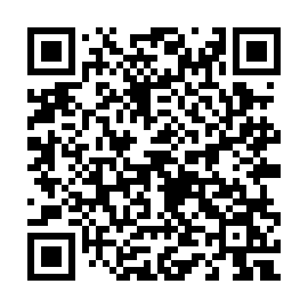 QR code for 449PLN