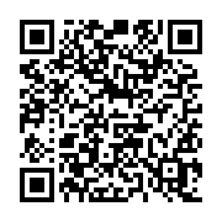 QR code for 451XIF
