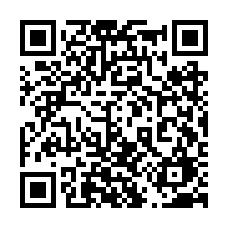 QR code for 453BSG