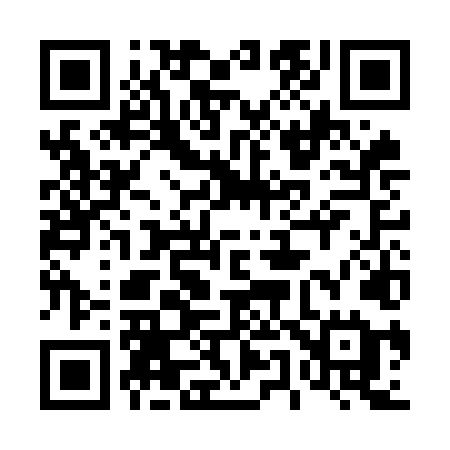 QR code for 453OLE