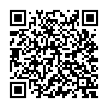 QR code for 460QZS