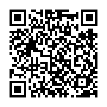 QR code for 461FIM