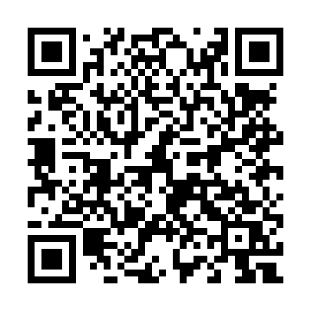 QR code for 461LUS