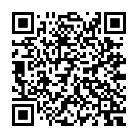 QR code for 461PDI