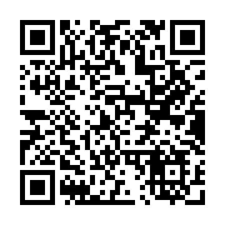 QR code for 461QLO